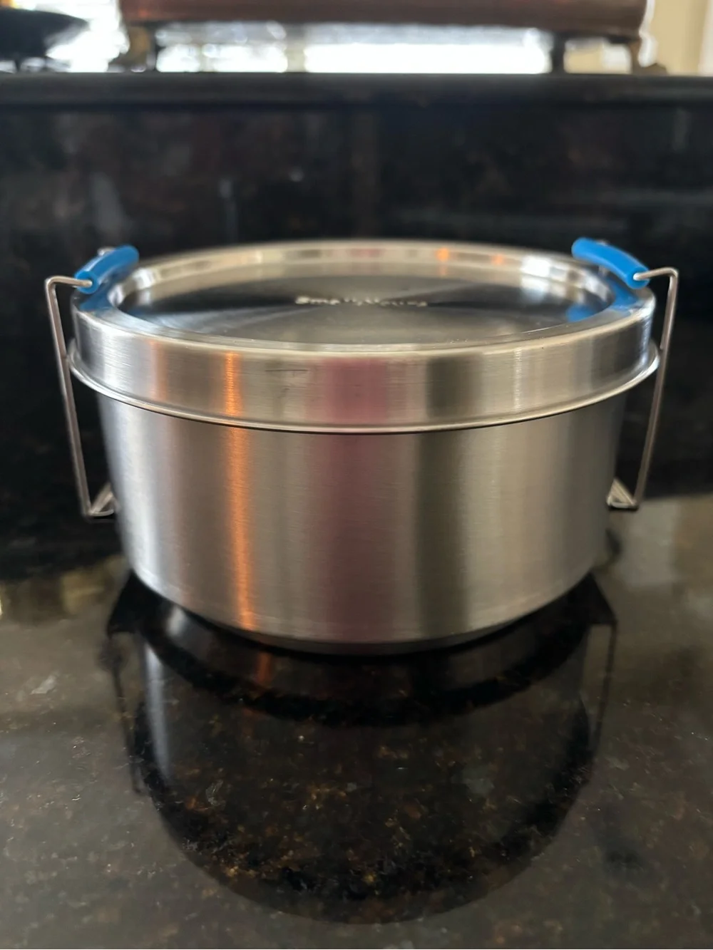 New!  Stainless Steel Container with Blue Handles